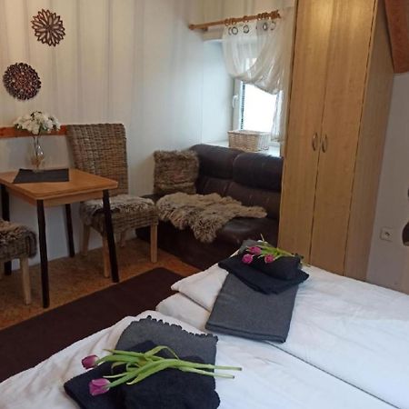 Apartmany Ziakova - Ubytovani Nove Hrady 111 Ngoại thất bức ảnh